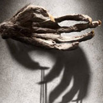 Timeline: The Monkey's paw