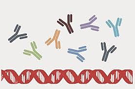 PAUL BERG, WALTER GILBERT Y FEDERICK SANGER