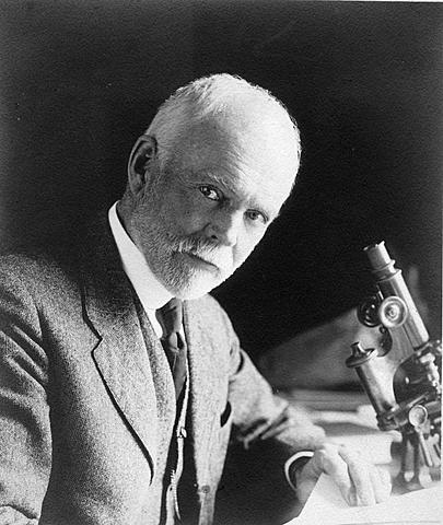 Edmund Beecher Wilson