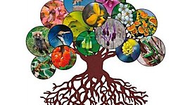 Timeline: Biología de la conservación