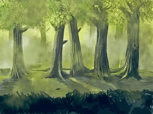 El rey Carlos ordenó a los encomenderos (españoles a quienes se había dado acceso al trabajo de los indígenas) plantar árboles para contar en sus cercanías con una provisión de madera