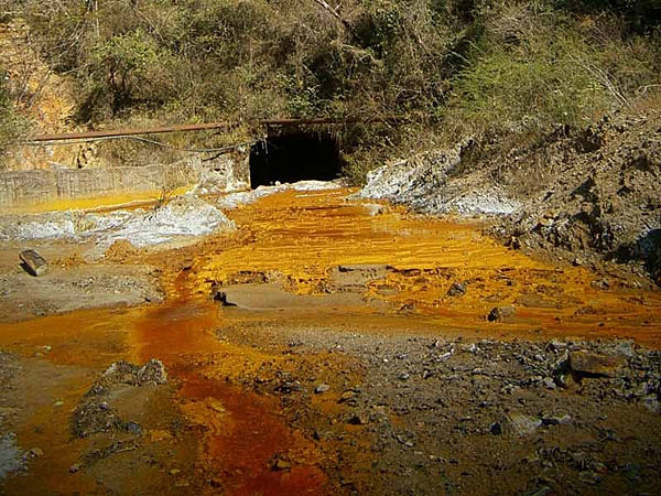 Se alarmó tanto por la destrucción de los bosques cerca de la comunidad minera de Taxco que se prohibió encender fuegos en la región