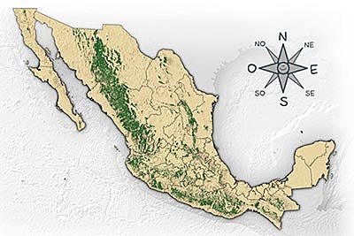 El gobierno mexicano promulgó una ley para conservar los bosques en tierras nacionales