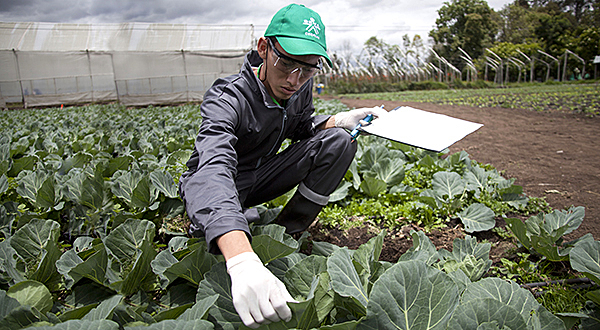 2015 Emprendimiento Rural