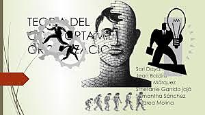 Teoría del Comportamiento