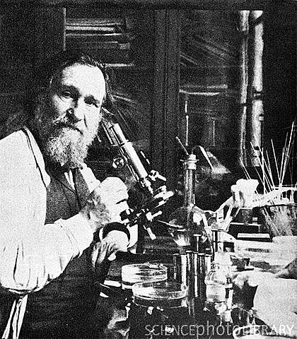 Iliá Ilich Méchnikov