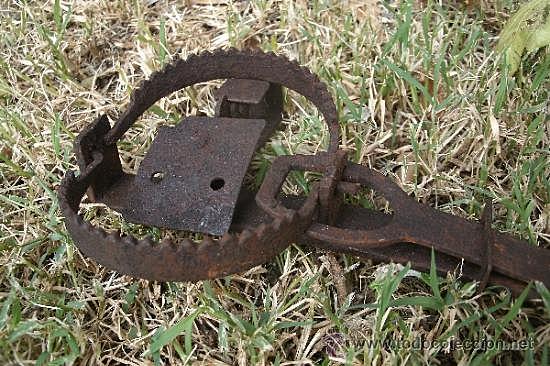 Rey Alfonso XI prohíbe uso de trampas de fierro