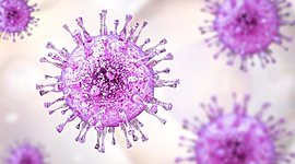 Timeline: INMUNOLOGÍA: LÍNEA DE TIEMPO