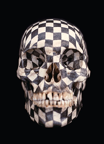 Black Kites, Gabriel Orozco