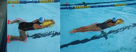 Línea del proceso de el estilo crol