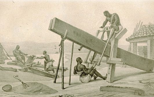 Se prohíbe exportación de madera y uso de licencia