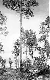 Ministerio de agricultura, funcionarios y Sociedad presionan