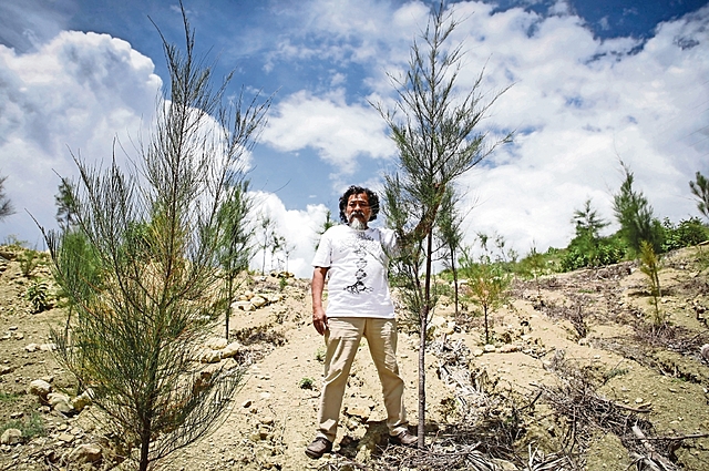 Bienestar público depende de los árboles