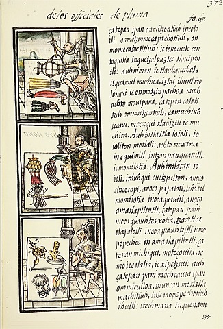 Florentine Codex