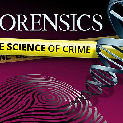 Timeline: Forensics Accomplishments