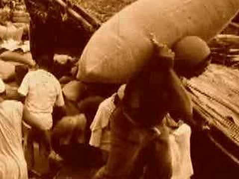 Libertad De Comercio