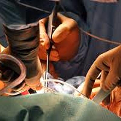 Timeline: Historia de la urología