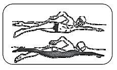 Posición del cuerpo