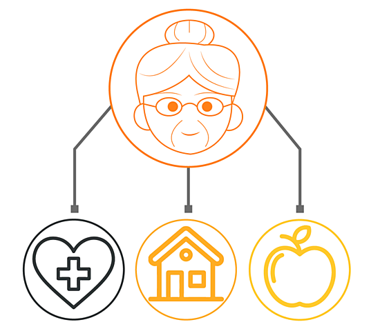 Aportaciones del plan de acción internacional de Viena