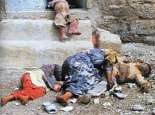 Hama Massacre: Social