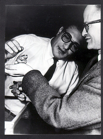 Modelo de neuronas artificiales