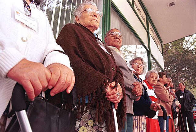 Instituto Nacional de Adultos en Plenitud (INAPLEN)