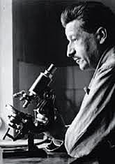 Edmond Locard (1910):