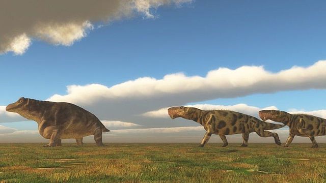 comienzo del perodo permico