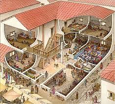 Organización Social