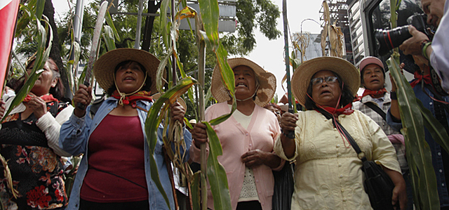 Creación de la reforma agraria y levantamiento del EZLN