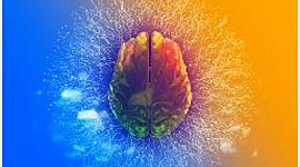 Timeline: Historia de las Neurociencias-Hitos principales: Por  Laura Tovar.