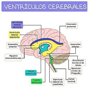Imperio Romano-170 aC