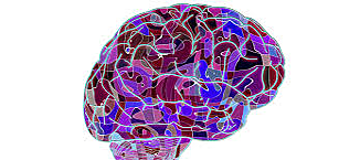 Alteraciones perceptivo-motoras