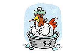 GRIPE AVIAR EN ASIA.