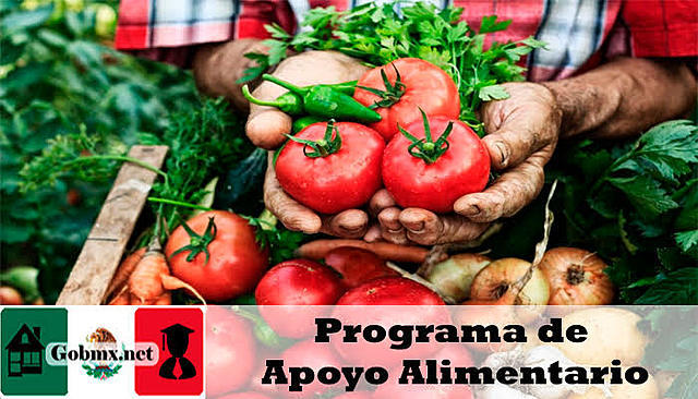 Programa apoyo alimentario