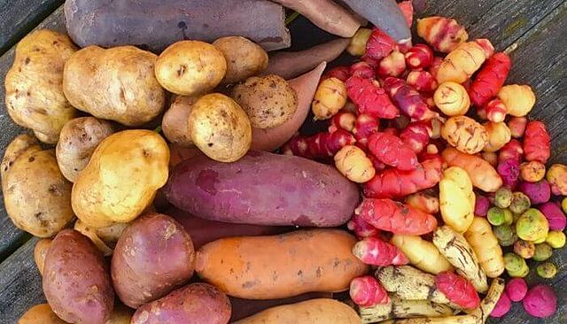 Colombia prehispánica