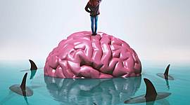 Timeline: HISTORIA MODIFICACIÓN DE LAS CONDUCTAS