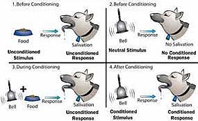 Watson adoptó el reflejo condicionado como la unidad de hábito.