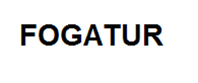 Creación de FOGATUR