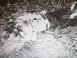 Enfrentamiento amardo