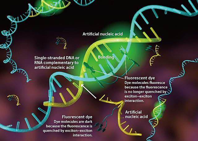 7. Reprogramación ceuluar: Desarrollada en ratones