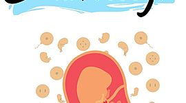 Timeline: Desarrollo Embrionario: Semana 1 a Semana 8