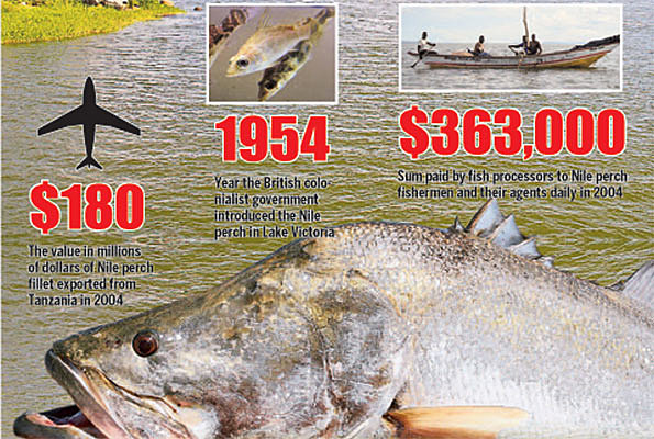 la perca del Nilo fue introducida en las aguas de lago Victoria