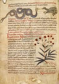 Escritos Antiguos de Veterinaria