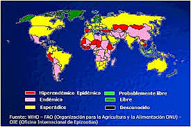 Oficina Internacional de Epizootias