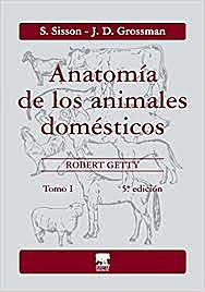 Anatomía de los animales domésticos