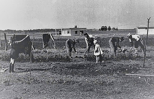 ¿Cuales eran los desafíos de las nuevas corrientes educativas?