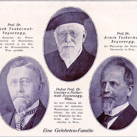 REDESCUBRIMIENTO DE LAS LEYES DE MENDEL