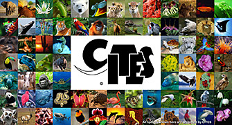 CITES