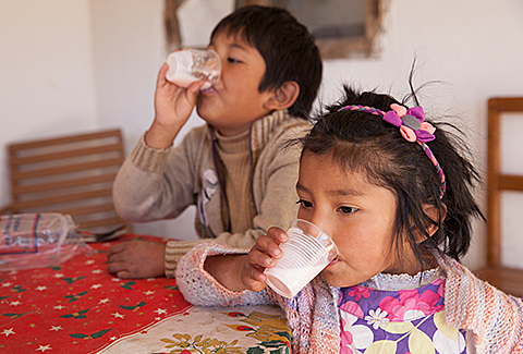 Acciones y proyectos del programa "SIN HAMBRE"